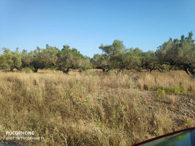 Terreno en venta en Baix Ebre, Catalunya