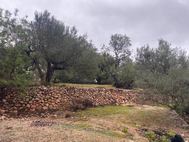 Terreno en venta en Baix Ebre, Catalunya