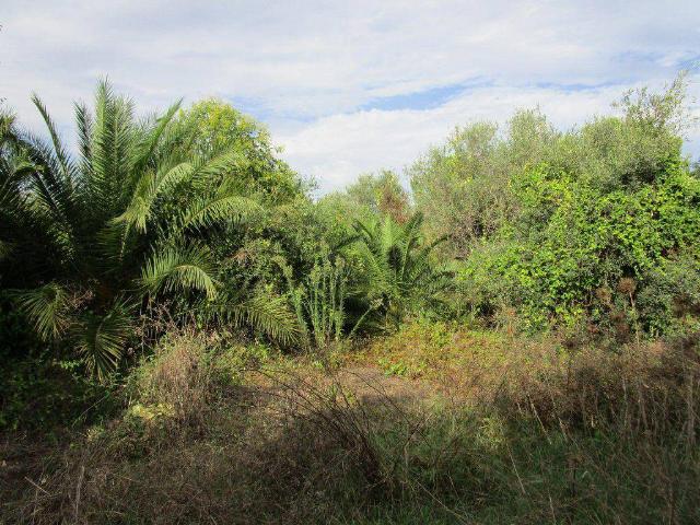Terreno en venta en Baix Ebre, Catalunya