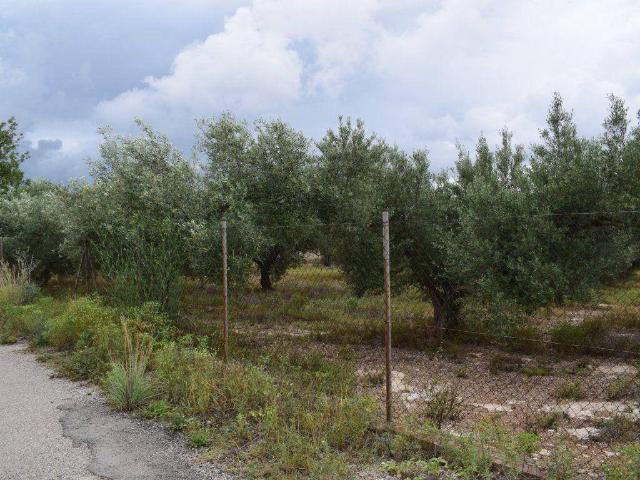 Terreno en venta en Roquetes