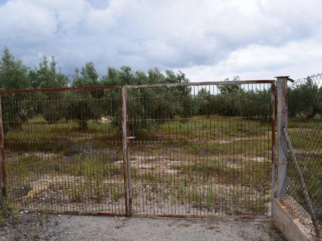 Terreno en venta en Baix Ebre, Catalunya