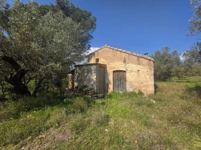 Terreno en venta en Baix Ebre, Catalunya