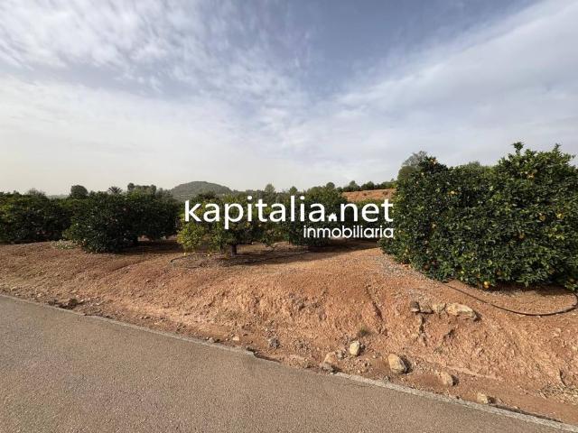 Terreno en venta en la Costera, Valencia