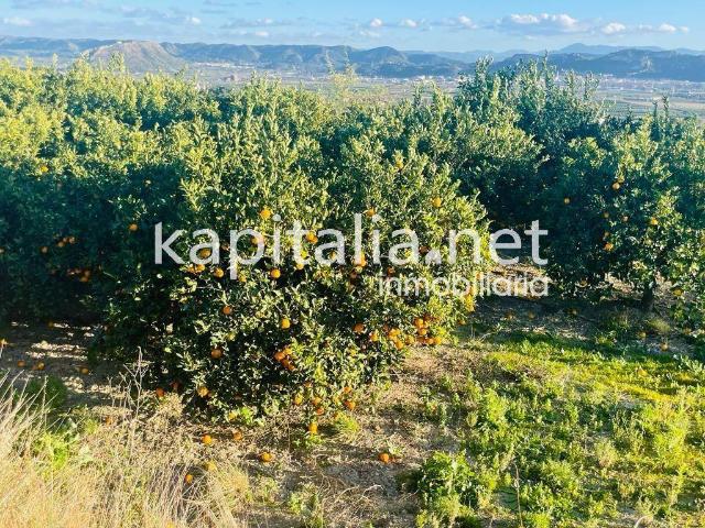 Terreno en venta en la Costera, Valencia