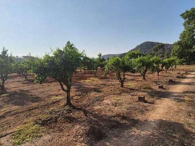 Terreno en venta en la Safor, Valencia