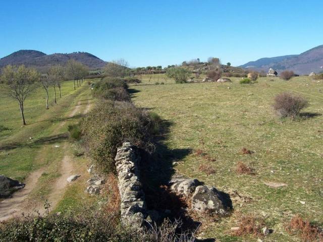 Terreno en venta en Rozas De Puerto Real
