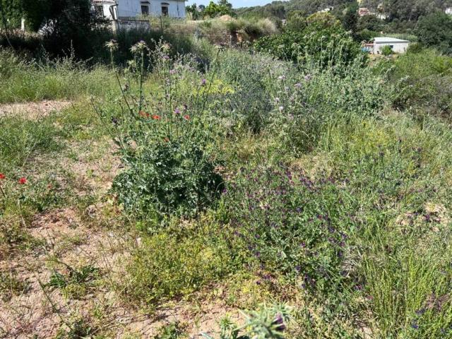Terreno en venta en Rubí, Barcelona