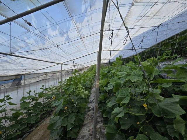 Terreno en venta en Comarca de la Costa Granadina, Andalucía