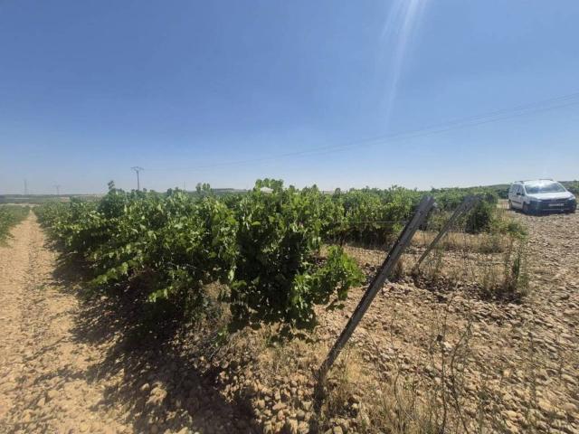 Terreno en venta en Rueda, Castilla y León