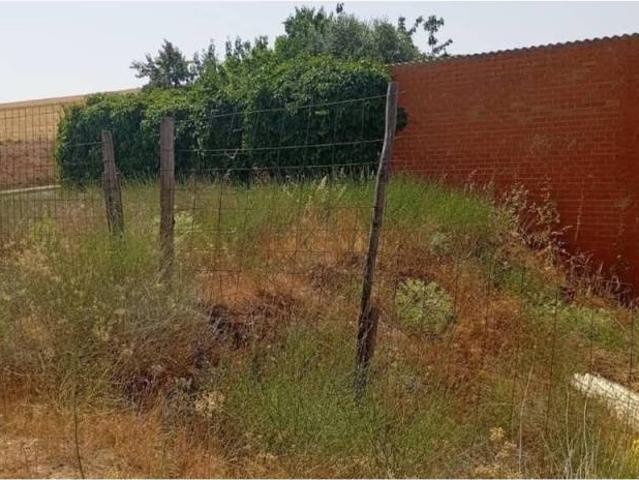 Terreno en venta en Rueda, Castilla y León