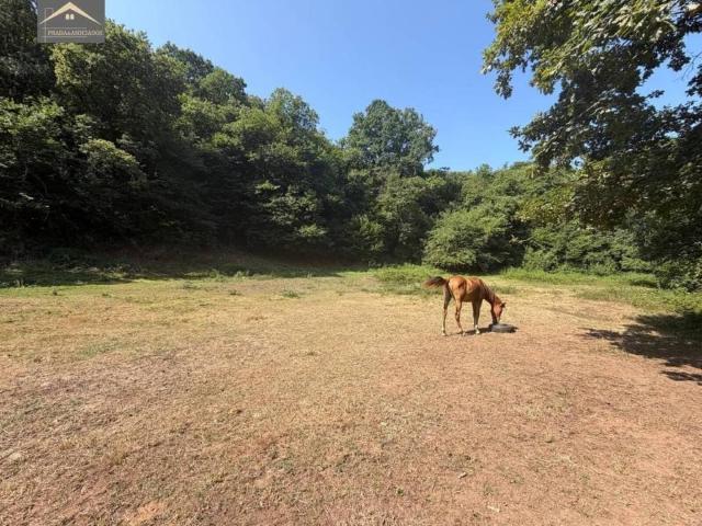Terreno en venta en Ruente, Cantabria