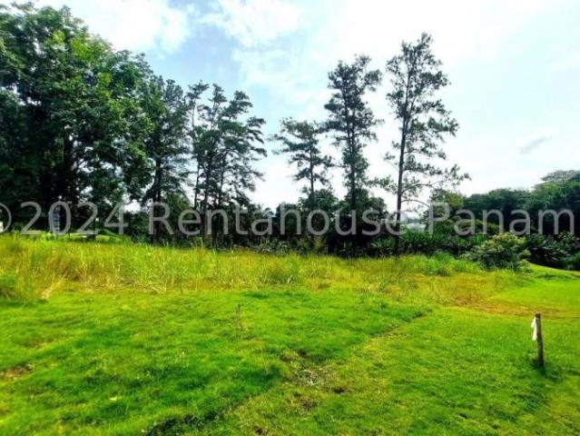 Terreno en Venta en Rufina Alfaro Brisas del Golf Panamá