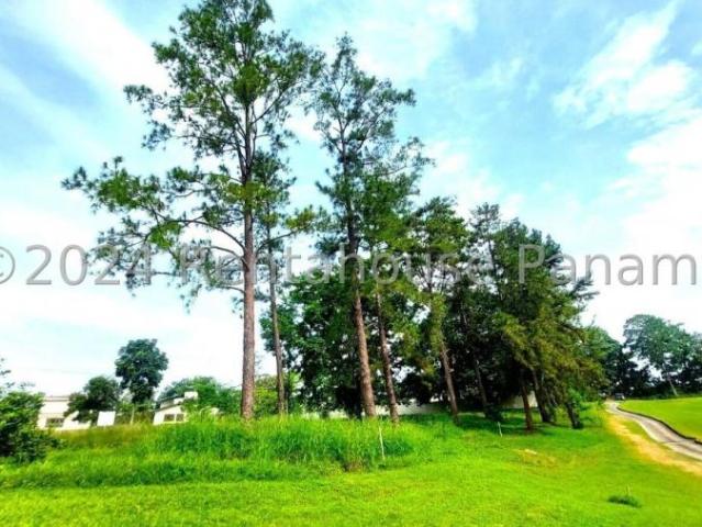 Terreno en Venta en Rufina Alfaro Brisas del Golf Panamá