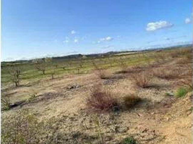 Terreno en venta en la Vall d'Albaida, Valencia