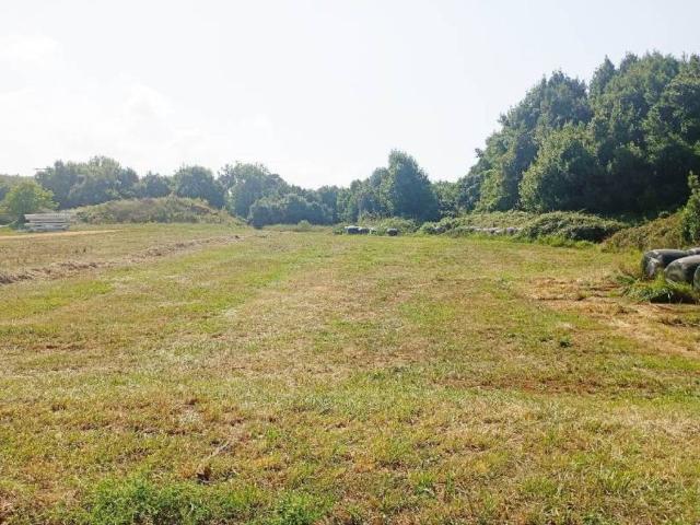 Terreno en venta en Ruiloba, Cantabria