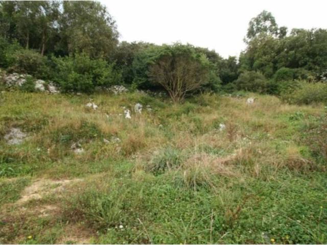 Terreno en venta en Ruiloba, Cantabria