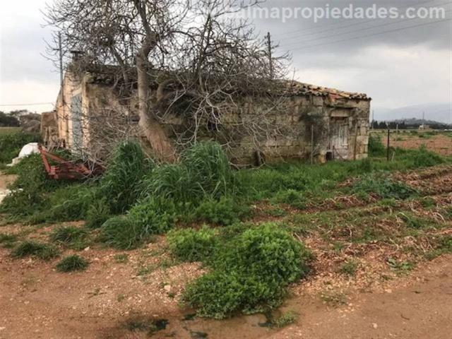 Terreno en venta en Raiguer, Baleares