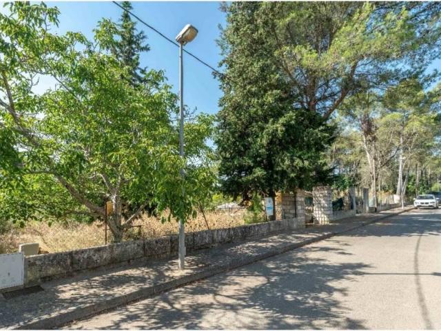 Terreno en venta en Raiguer, Baleares