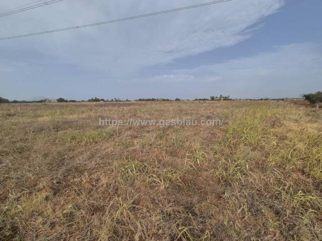 Terreno en venta en Raiguer, Baleares