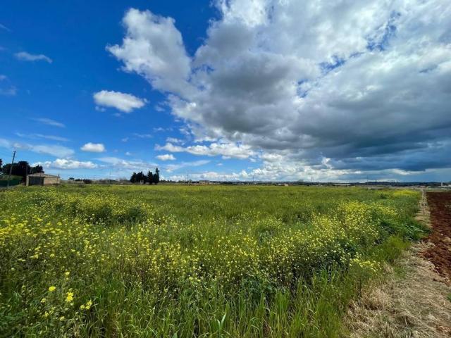 Terreno en venta en Sa Pobla