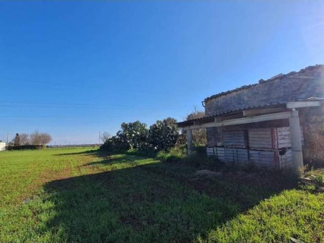 Terreno en venta en Raiguer, Baleares