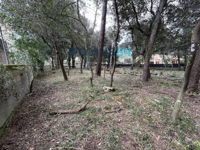 Terreno en venta en Raiguer, Baleares