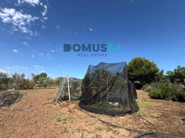 Terreno en venta en Raiguer, Baleares