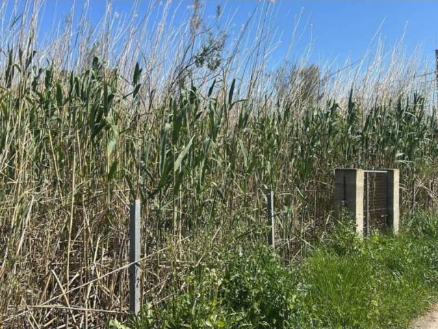 Terreno en venta en Raiguer, Baleares