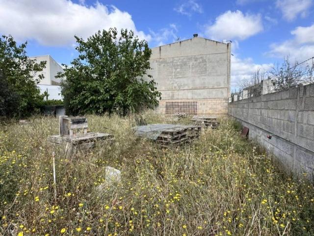 Terreno en venta en Raiguer, Baleares