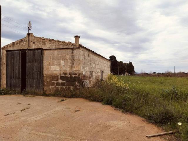 Terreno en venta en Raiguer, Baleares
