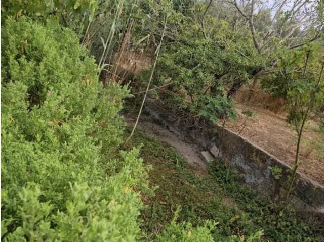 Terreno en venta en Raiguer, Baleares