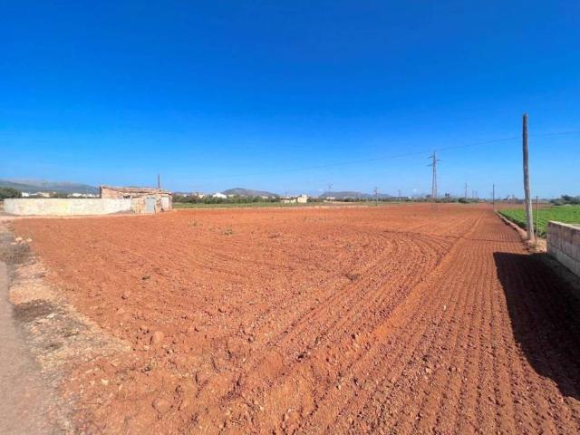 Terreno en venta en Raiguer, Baleares