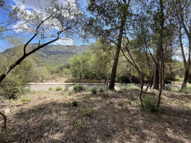 Terreno en venta en Raiguer, Baleares
