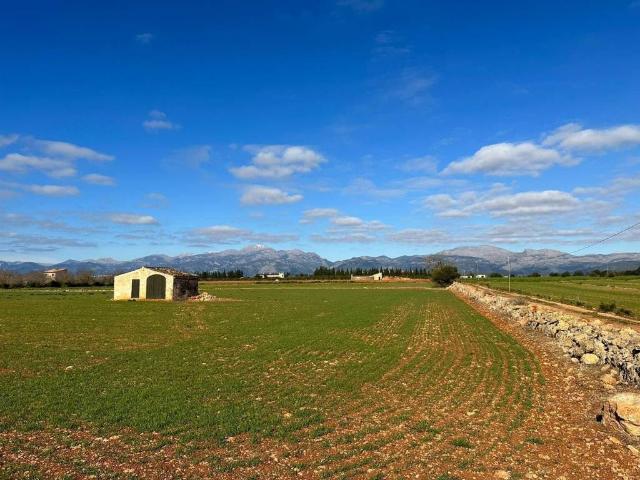 Terreno en venta en Sa Pobla