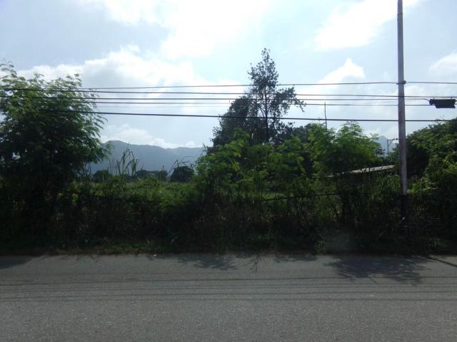 Propiedad en venta en Táchira