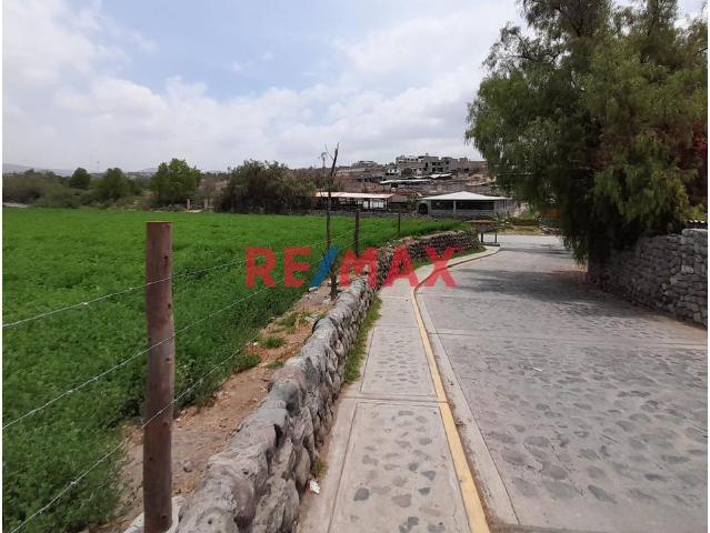 Terreno venta en Sabandia, Arequipa