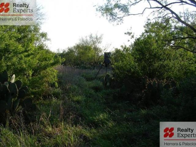 Terreno en venta en Sabinas Hidalgo, Nuevo León