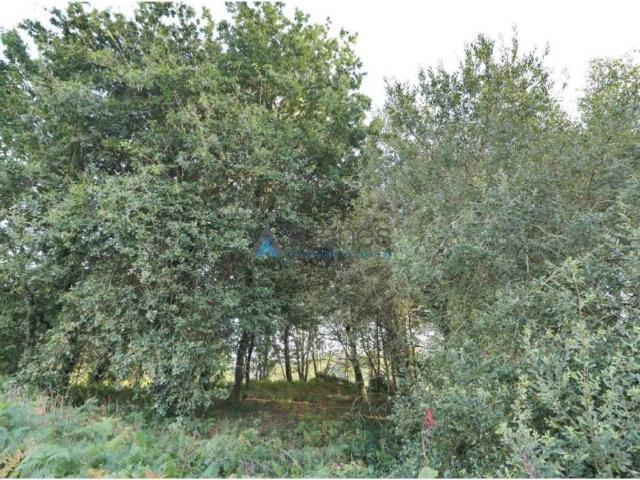 Terreno en venta en A Coruña, Galicia