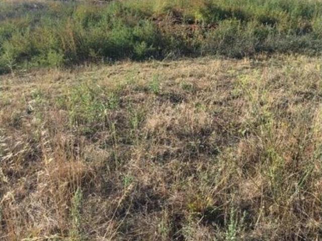Terreno en venta en Cinco Villas, Aragón