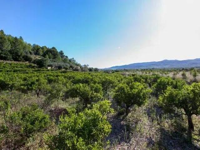Terreno en venta en la Marina Alta, Valencia