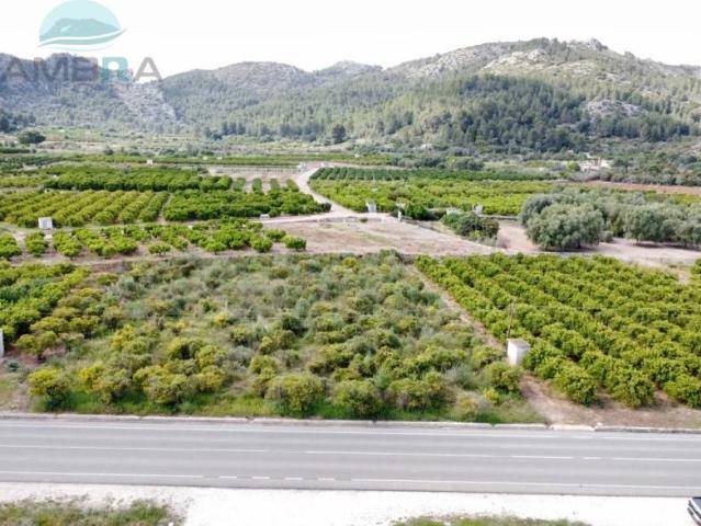 Terreno en venta en la Marina Alta, Valencia
