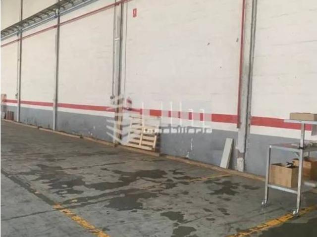 Terreno en venta en el Camp de Morvedre, Valencia