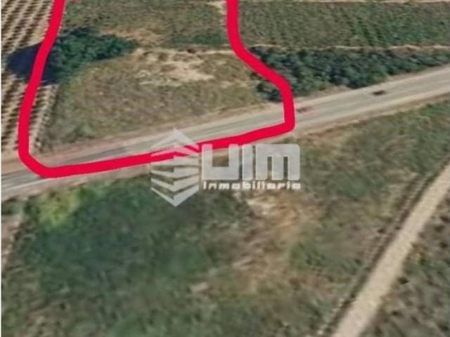 Terreno en venta en el Camp de Morvedre, Valencia