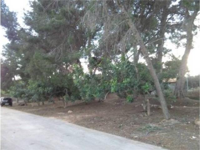 Terreno en venta en el Camp de Morvedre, Valencia