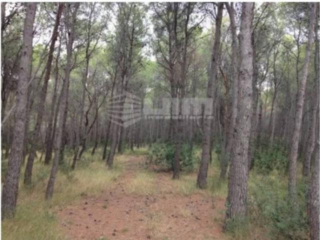 Terreno en venta en el Camp de Morvedre, Valencia