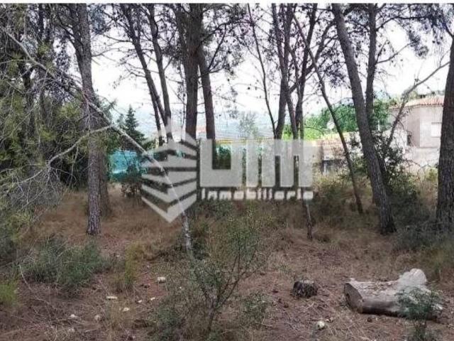 Terreno en venta en el Camp de Morvedre, Valencia