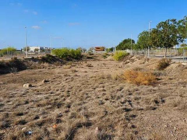 Terreno en venta en el Camp de Morvedre, Valencia