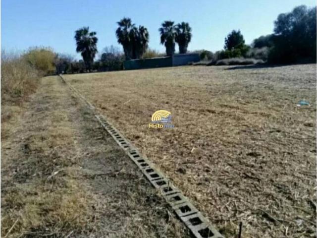 Terreno en venta en el Camp de Morvedre, Valencia