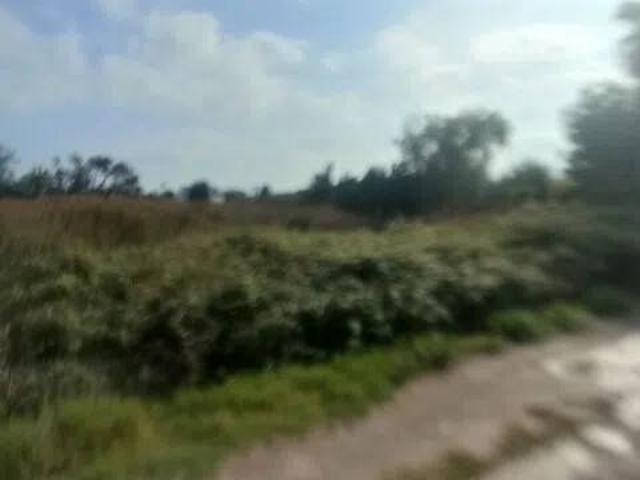 Terreno en venta en el Camp de Morvedre, Valencia