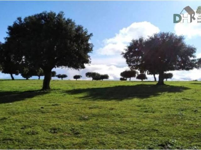 Terreno en venta en Salamanca, Castilla y León